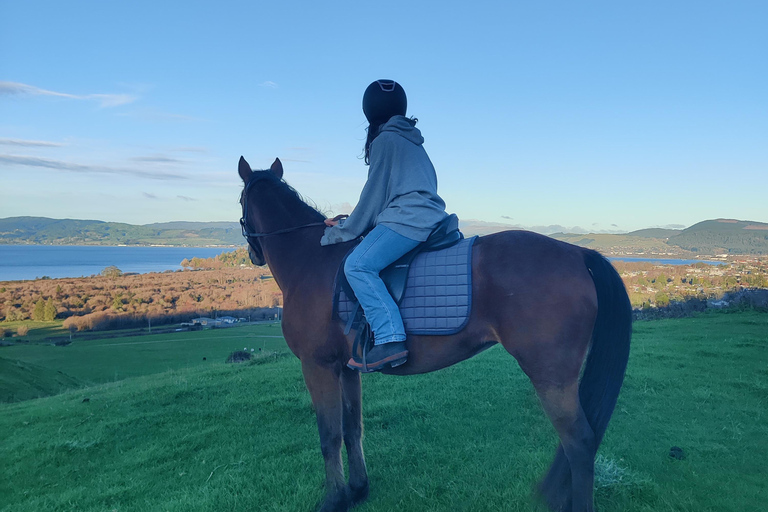 Rotorua: passeggiata a cavallo panoramicaRotorua: escursione panoramica a cavallo