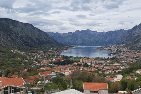 Prywatna wycieczka: Jednodniowa wycieczka do Czarnogóry z Dubrownika