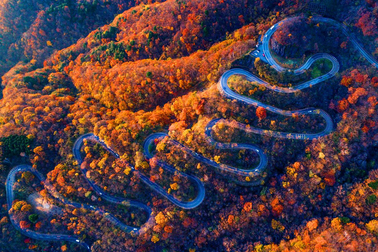 From Tokyo: Nikko UNESCO Shrine and Nature View Day Tour From Tokyo