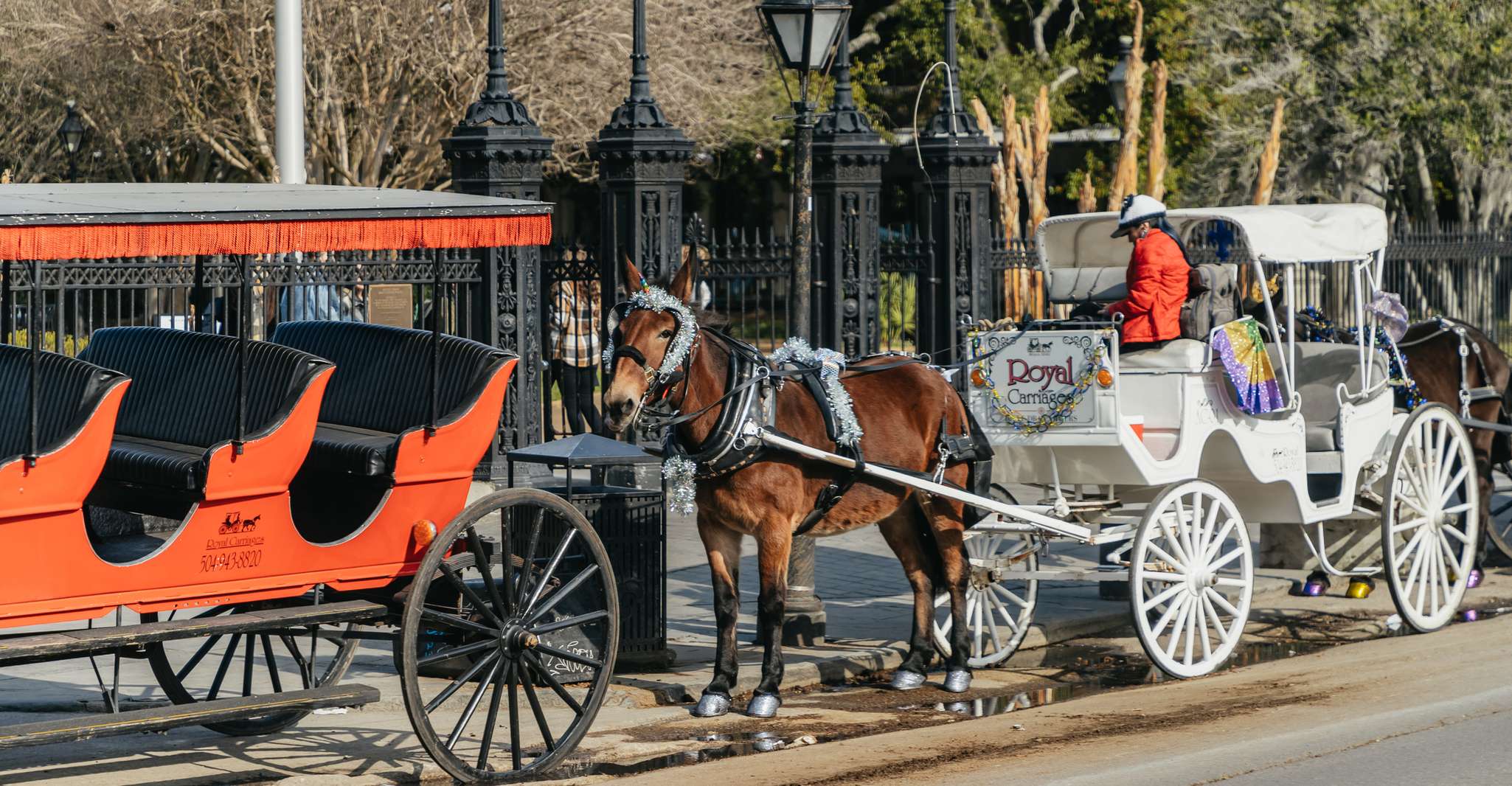 New Orleans, Guided City Sightseeing Tour by Bus - Housity