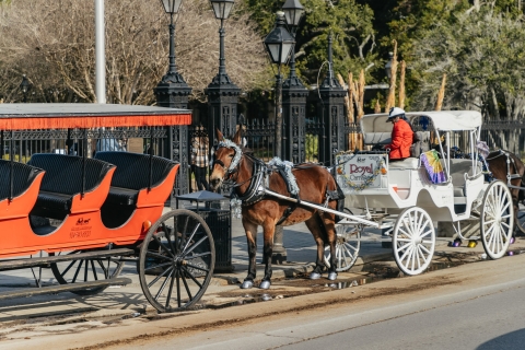 New Orleans: 2-Hour City Sightseeing Bus Tour New Orleans 2-hour Super City Tour