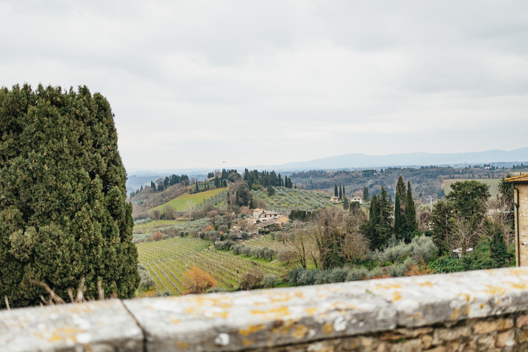 Florence: Pisa, Siena, San Gimignano, and Chianti Experience Private Tour with Guide, Lunch, Wine Tasting, & Transfers