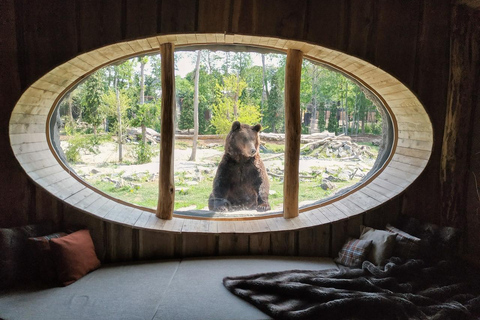 بروجليت تذكرة دخول حديقة حيوان بايري دايزاأيام الأسبوع