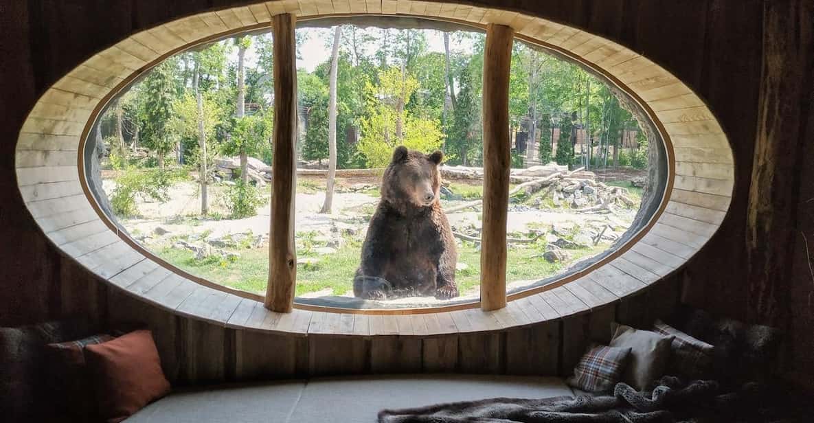 Afbeelding 20 van Brugelette: Pairi Daiza Zoo inclusief toegangsbewijs voor 'Edenya'