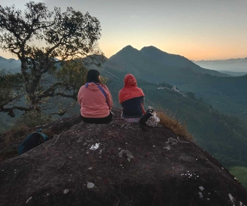 Munnar: Half day Guided Trek