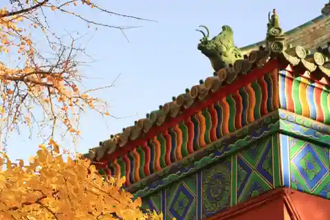 Beijing: Temple of Earth ticket; Serene, Majestic, Ancient