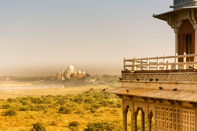 Agra: Skip-the-Line Taj Mahal & Agra Fort Private Tour From Delhi: Tour with Car + Driver+ Guide + Entrance Tickets