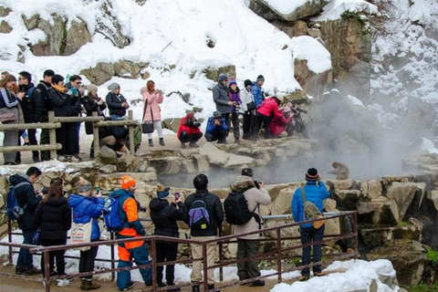 Nagano/Tokyo: Snow Monkey Private Car Tour Hotel Pick & Drop