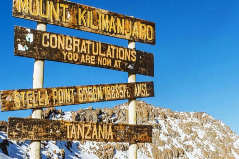 TANZANIA: 8-Day Mount Kilimanjaro Trek Lemosho Route