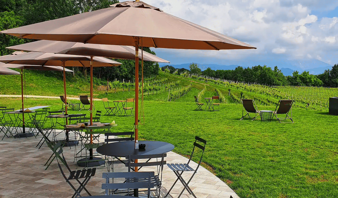 Conegliano: Tour durch die Prosecco-Hügel und -Weinberge