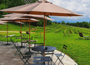 Conegliano: Tour ...