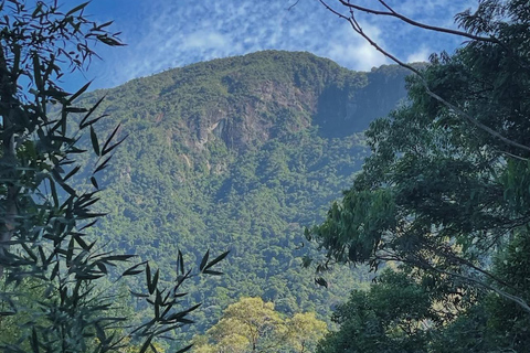 Da Rio: ritiro ecoturistico di 4 giorni con trasferimenti e cabineDa Rio: 4 giorni di eco-turismo con trasferimenti e alloggio in bungalow