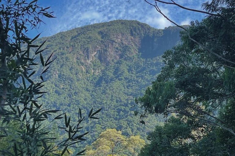 Da Rio: ritiro ecoturistico di 4 giorni con trasferimenti e cabineDa Rio: 4 giorni di eco-turismo con trasferimenti e alloggio in bungalow