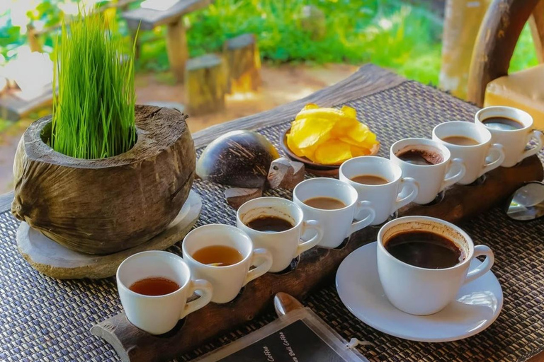 Ubud Full-Day Private Guided Tour: Temple, Waterfall & Swing Ubud Private Tour – Entry Tickets Not Included