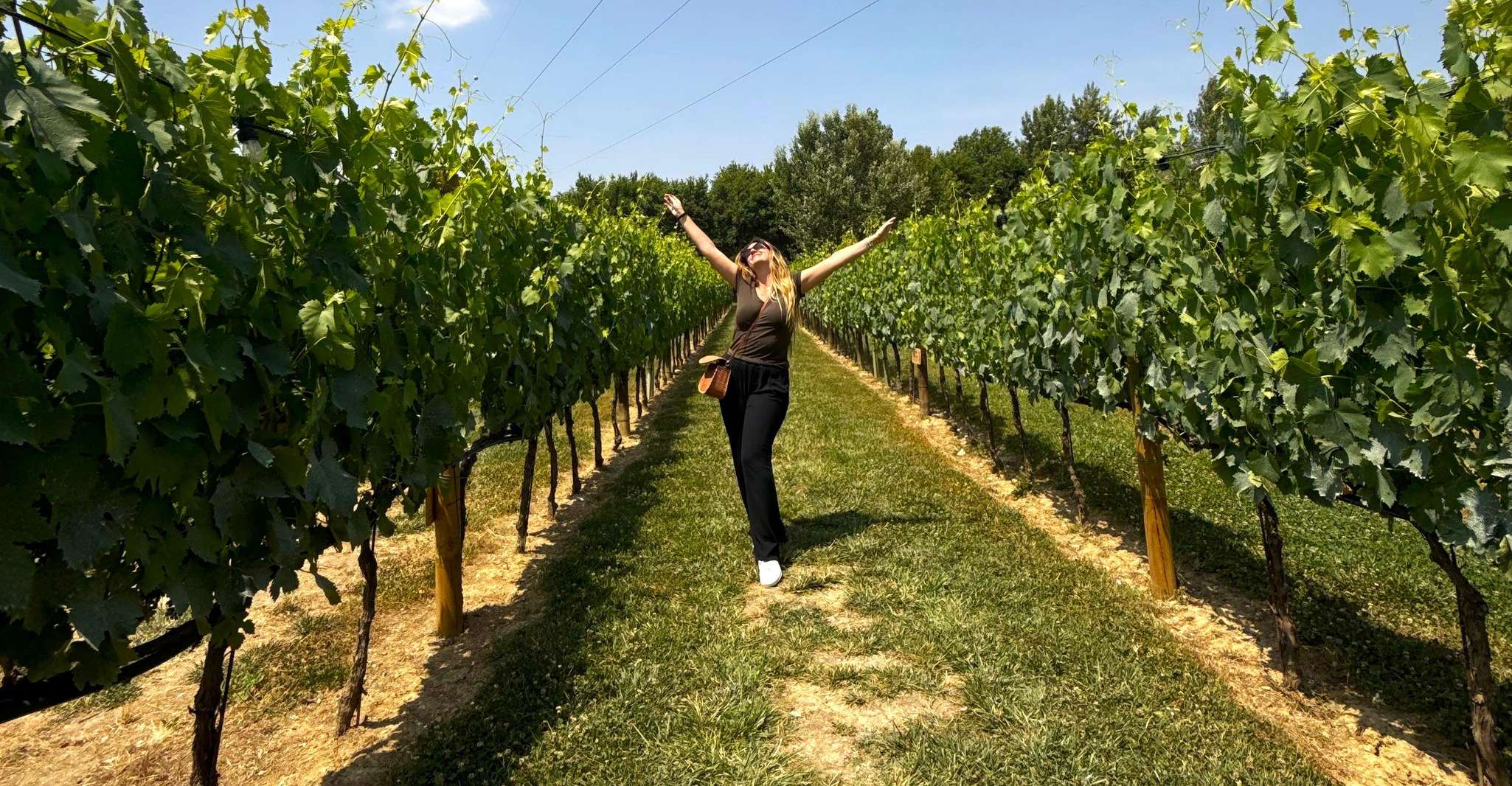 Half Day Escape to Chianti: Taste the Heart of Tuscany photo 13