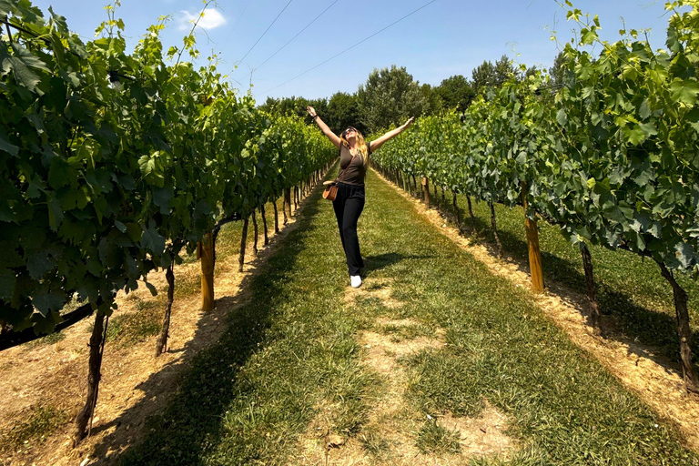 رحلة نصف يوم إلى شيانتي: تذوق قلب توسكاناخيار المجموعة الصغيرة (حتى 30 شخصًا)