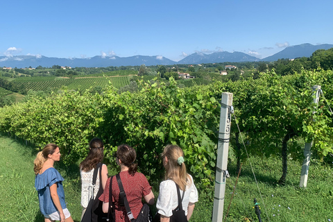 Prosecco Hills Private Tour All inclusive. 2 wineries+lunch
