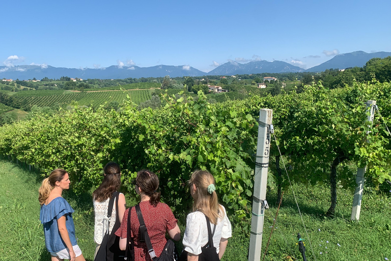 Prosecco Hills Private Tour All inclusive. 2 wineries+lunch