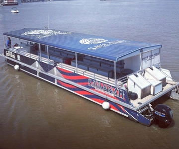 Savannah: Dolphin Spotting and Wildlife Eco Cruise