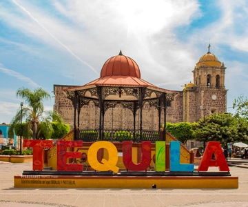 Guadalajara: Tequila Day Trip with Jose Cuervo Option