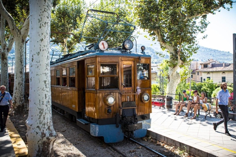 Soller Train and Tram Half Day Tour