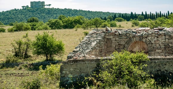 Organisierte Tour von Bari nach Castel del Monte