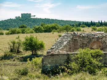 Organized tour from Bari to Castel del Monte