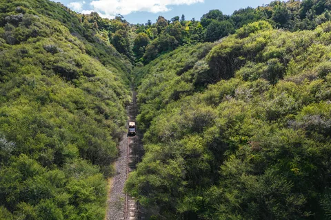 From Taumarunui: The Republic Rail Cart Adventure