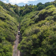 From Taumarunui: The Republic Rail Cart Adventure From Taumarunui: The Republic Rail Cart Adventure