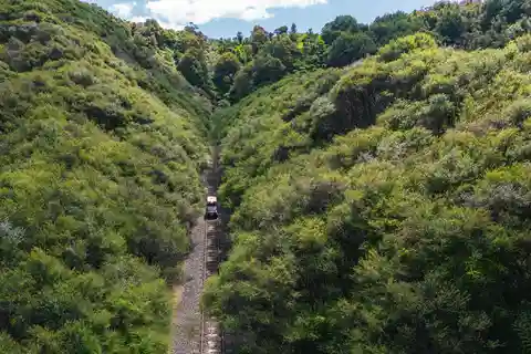From Taumarunui: The Republic Rail Cart Adventure