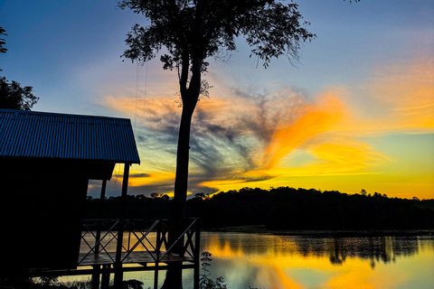 Presidente Figueiredo: Jungle Lodge Immersion in the Amazon (2–4 days) Full Jungle Lodge Experience in the Amazon (2 days and 1 night)