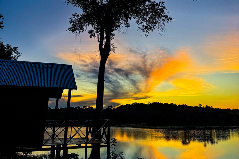 Presidente Figueiredo: Jungle Lodge Immersion in the Amazon (2–4 days) Full Jungle Lodge Experience in the Amazon (2 days and 1 night)