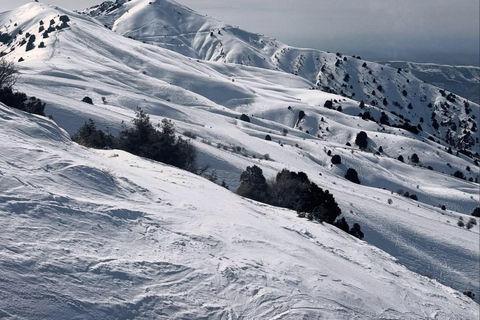 Best Of Tashkent: Premium Amirsoy, Chimgan and Charvak Lake Small Group Tour