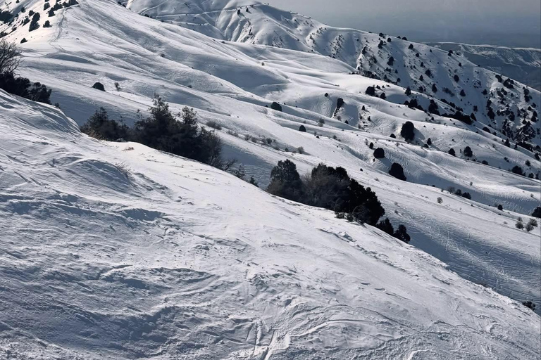 Best Of Tashkent: Premium Amirsoy, Chimgan and Charvak Lake Small Group Tour