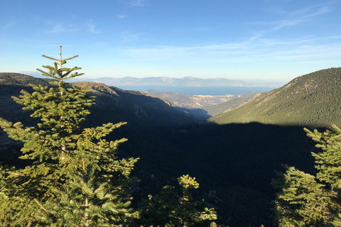 Athens - Flabouritsa Gorge Hike with Transfer and Guide