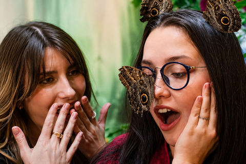 Zakopane: Butterfly House Entry Ticket Family Ticket (2 Adults + 1 Child)