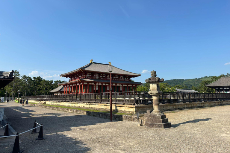 From Osaka/Kyoto: Nara One Day Private Tour