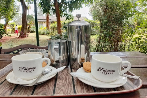 Nairobi: Half day Coffee Farm tour with a local guide
