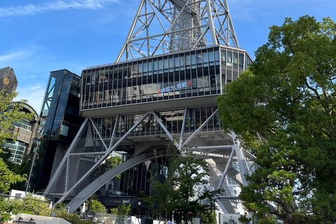 Nagoya: English-Guided Jogging Tour of the City (1 hour)