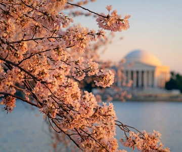 Vanuit Boston: 4-daagse tour naar New York, D.C. & Niagara Falls