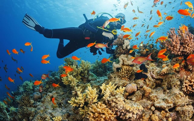 Antalya: Double Dive Scuba Adventure with Lunch & Transfer