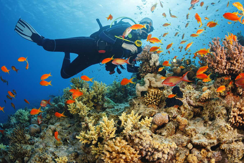 Fethiye: excursión de buceo con instructor y almuerzo