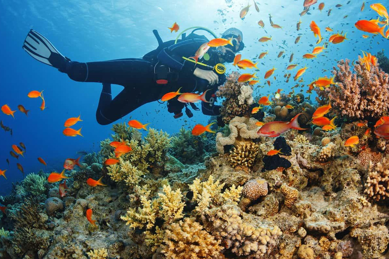 Fethiye : Excursion de plongée sous-marine avec instructeur et déjeuner