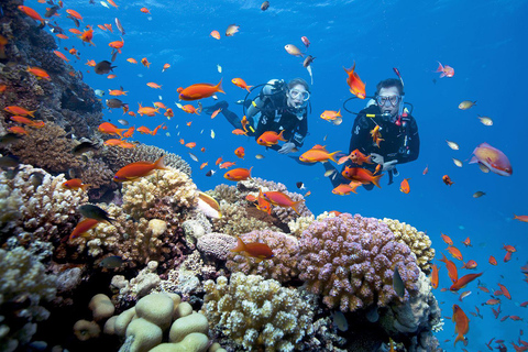 DA NANG&HOI AN:Snorkelen & eilandhoppen per speedbootSnorkelen & eilandhoppen per speedboot