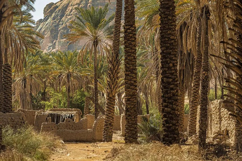 AlUla: Old Town Twilight Walk with Rawi Guide