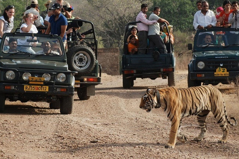 Från Jaipur: Privat rundtur med tigersafari i Ranthambore över natten