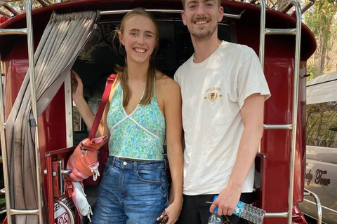 Chiang Mai: Afternoon Bua Tong Sticky Waterfall by Red Taxi