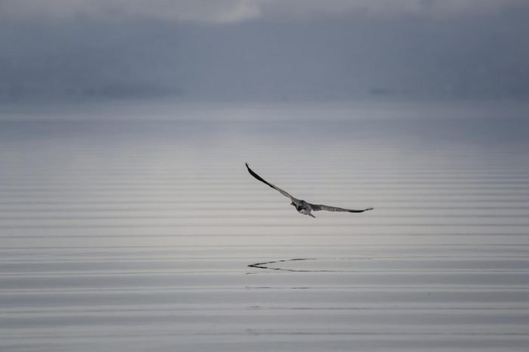 3 Day Safari in Akagera National Park