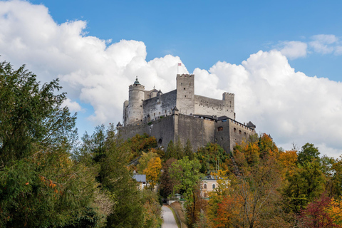 Munich: Private Salzburg Day Trip by Mercedes with Chauffeur Mercedes E-Class, up to 3 guests