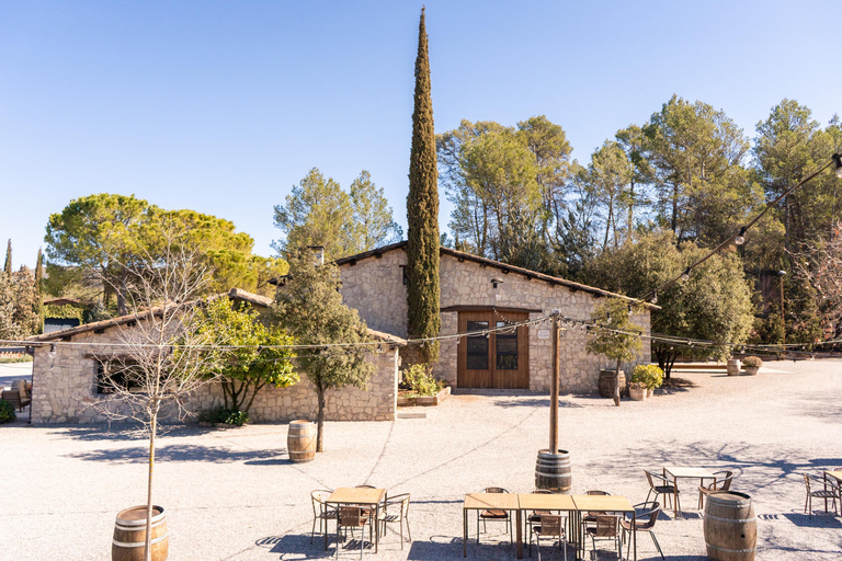 Barcelona: Montserrat, Winery Tour & Lunch with Wine Tasting